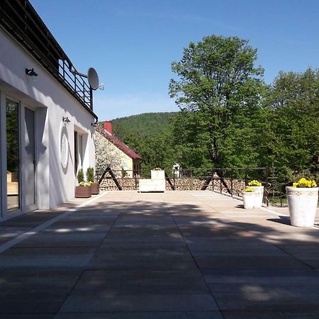 チスナ Leonowka Bieszczady Bed & Breakfast エクステリア 写真