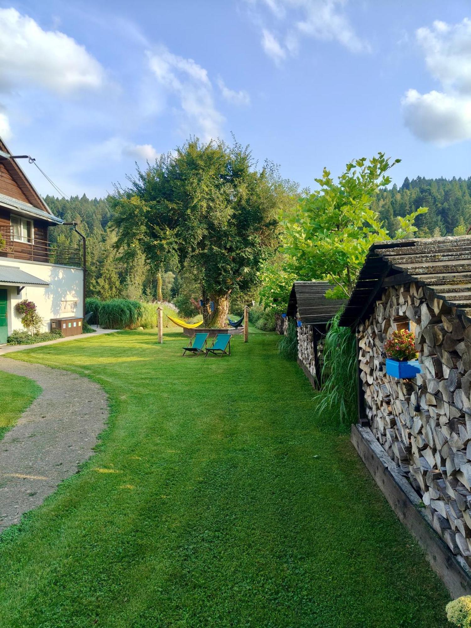 チスナ Leonowka Bieszczady Bed & Breakfast エクステリア 写真
