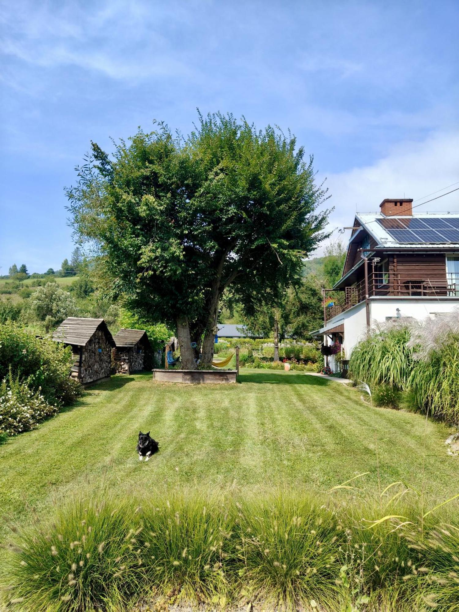 チスナ Leonowka Bieszczady Bed & Breakfast エクステリア 写真