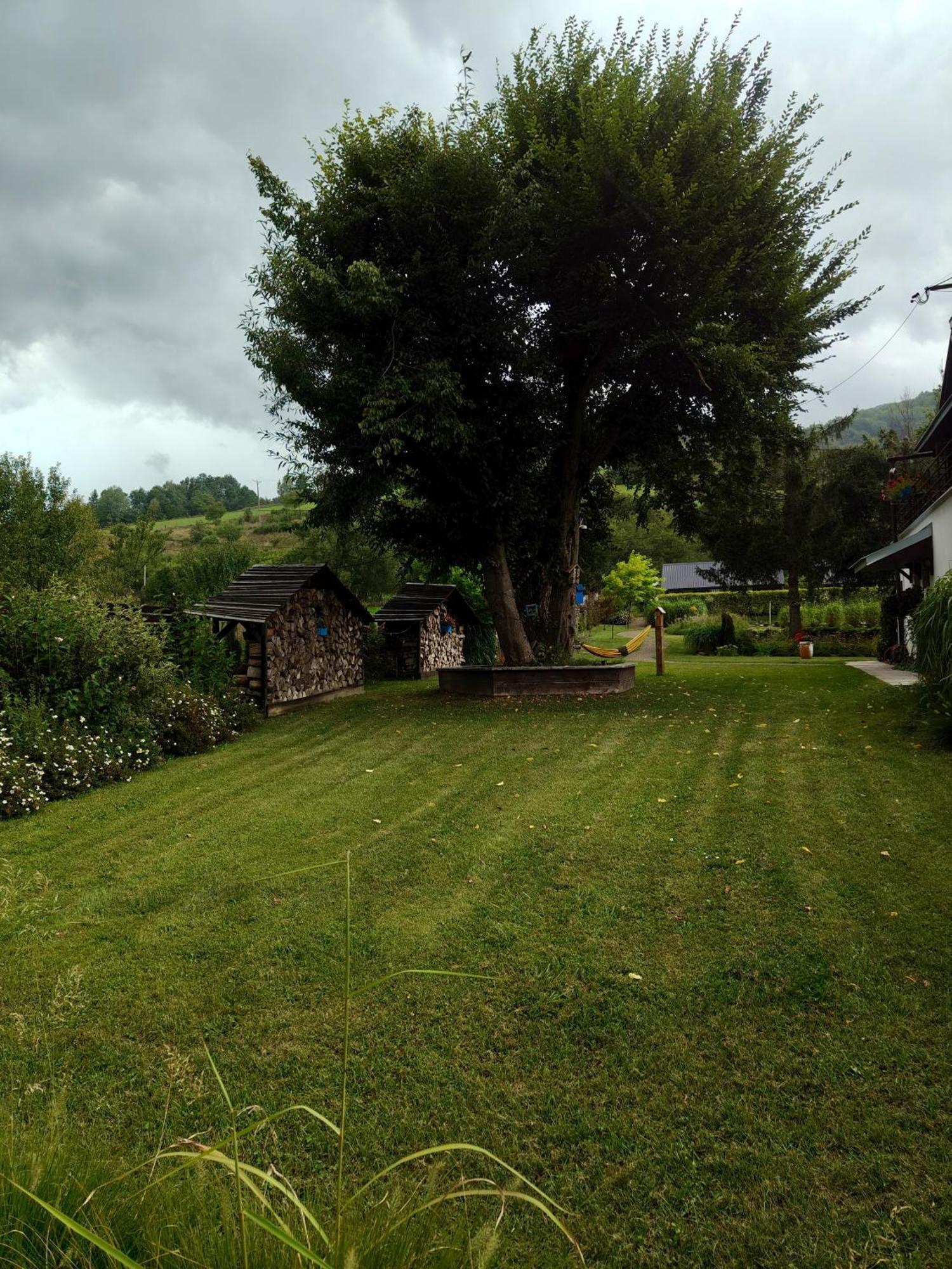 チスナ Leonowka Bieszczady Bed & Breakfast エクステリア 写真