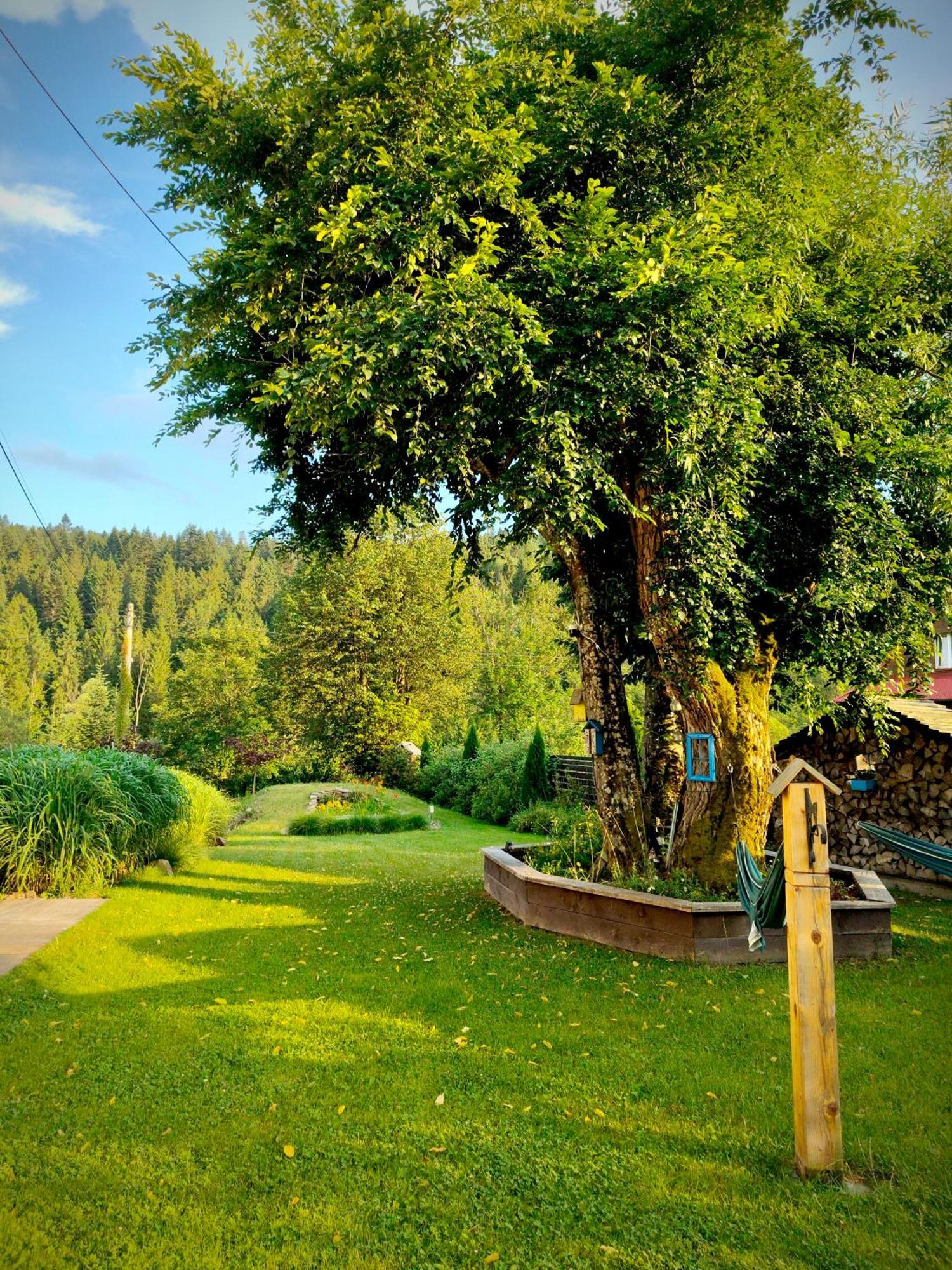 チスナ Leonowka Bieszczady Bed & Breakfast エクステリア 写真