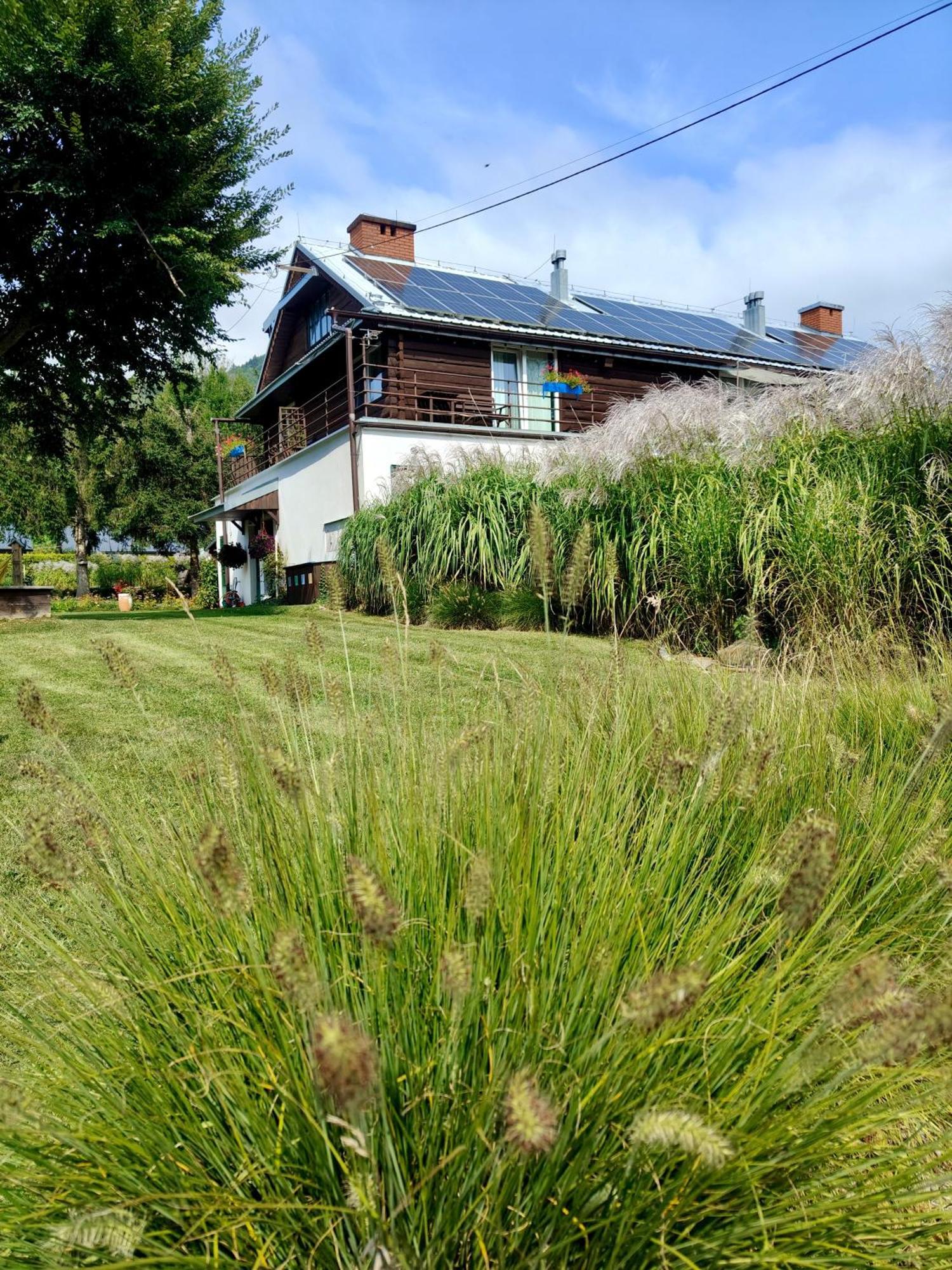 チスナ Leonowka Bieszczady Bed & Breakfast エクステリア 写真