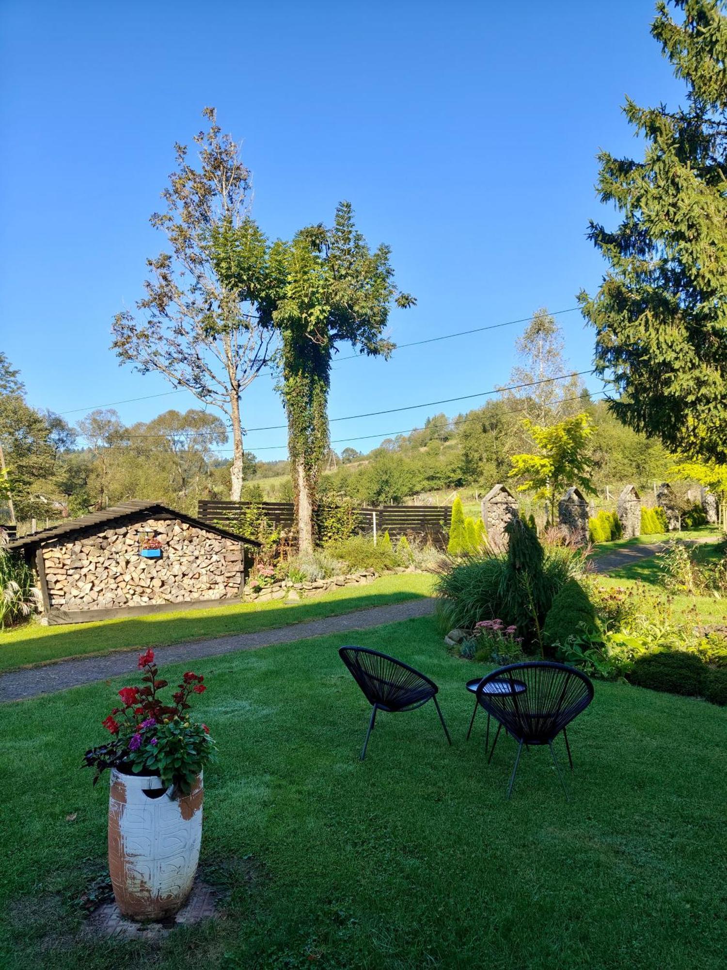 チスナ Leonowka Bieszczady Bed & Breakfast エクステリア 写真