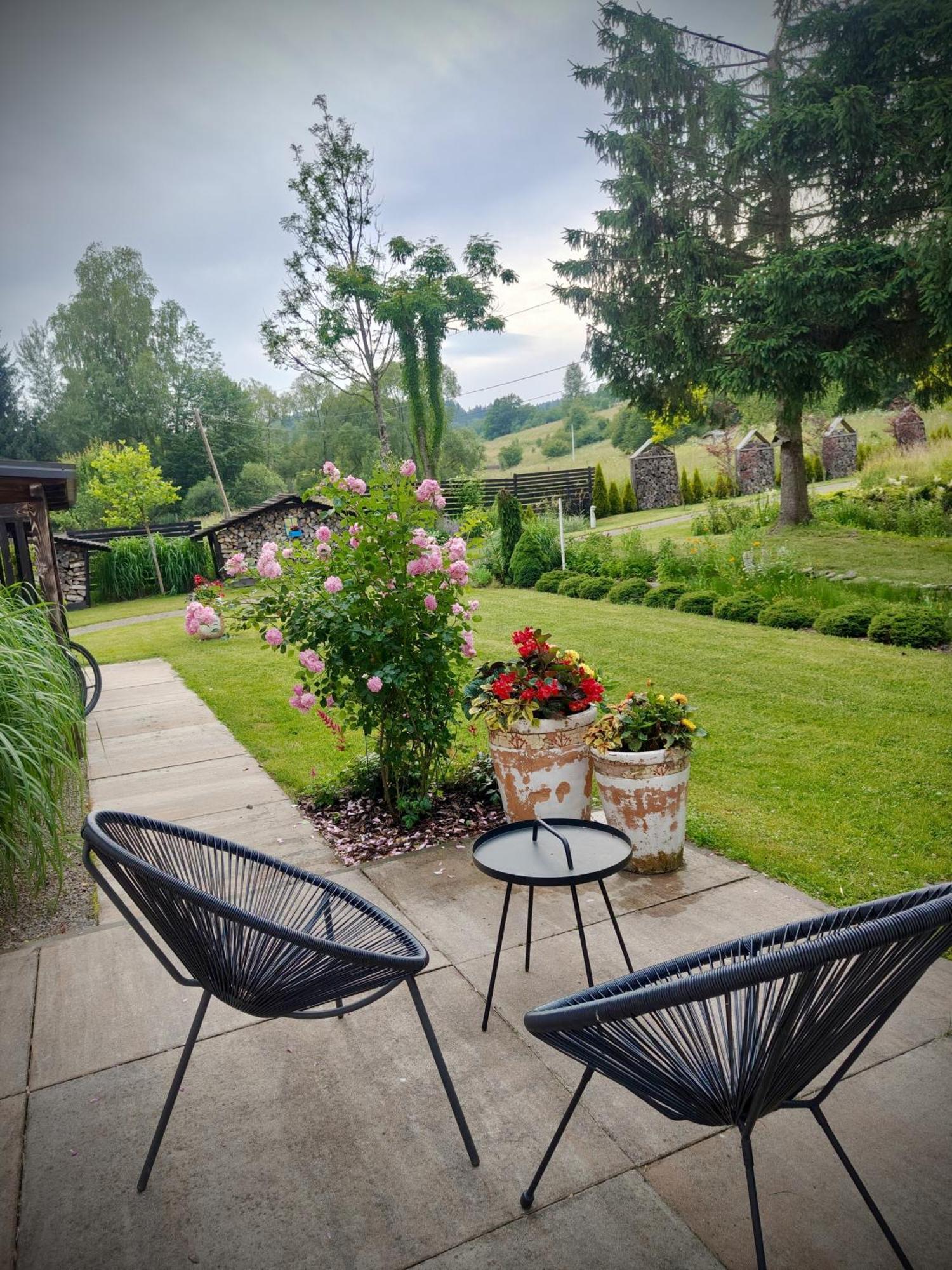 チスナ Leonowka Bieszczady Bed & Breakfast エクステリア 写真