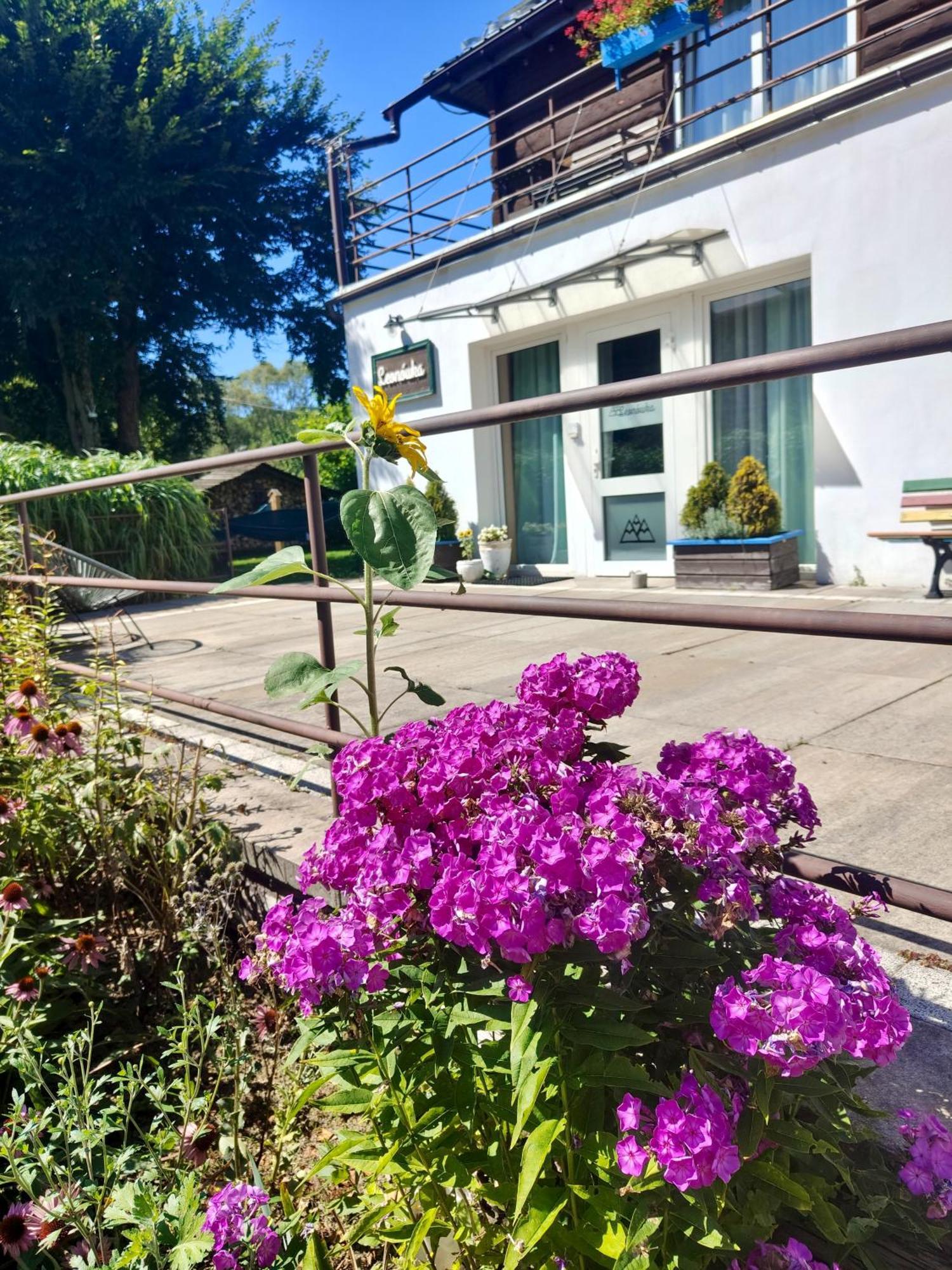 チスナ Leonowka Bieszczady Bed & Breakfast エクステリア 写真