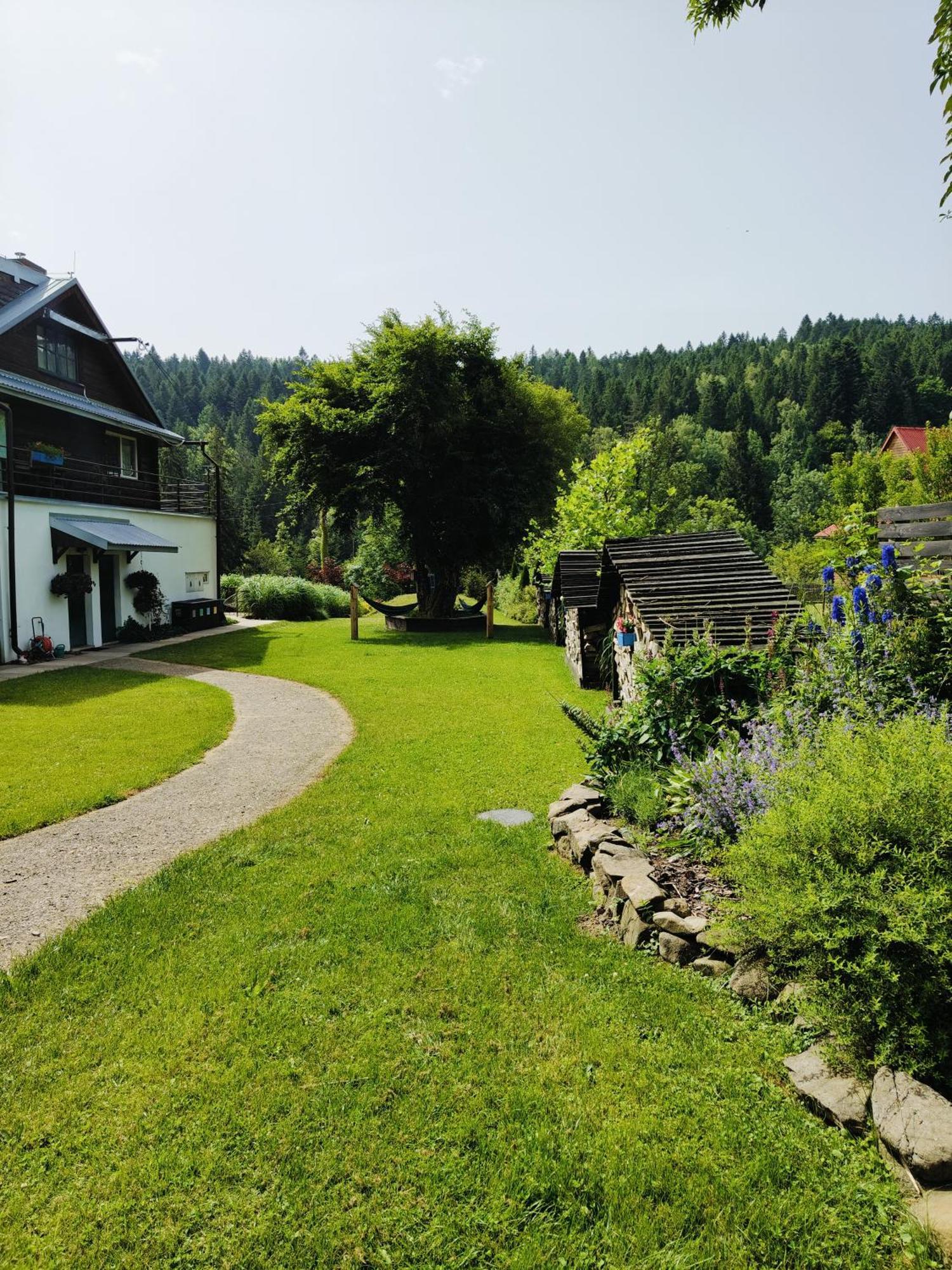 チスナ Leonowka Bieszczady Bed & Breakfast エクステリア 写真