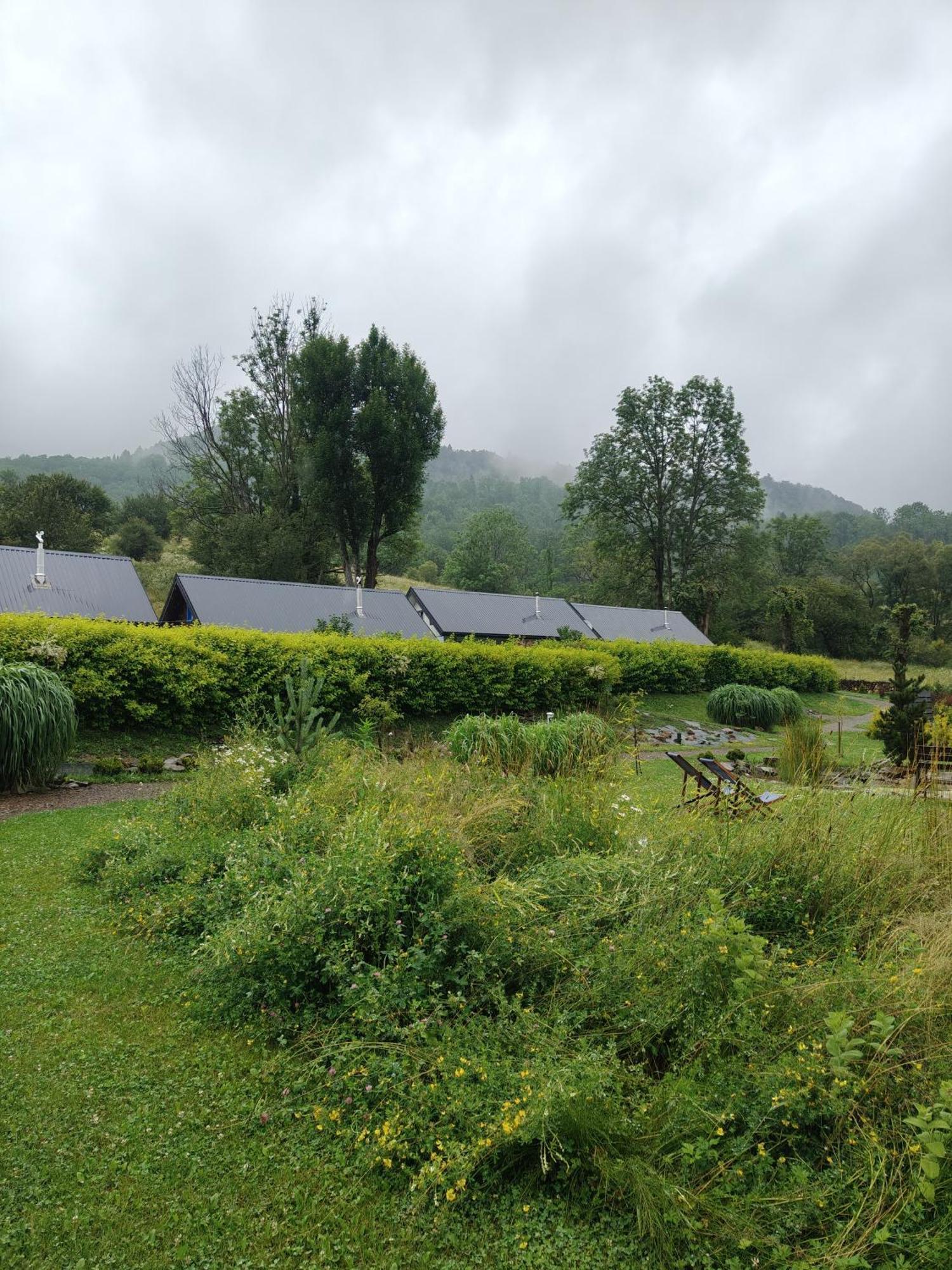 チスナ Leonowka Bieszczady Bed & Breakfast エクステリア 写真