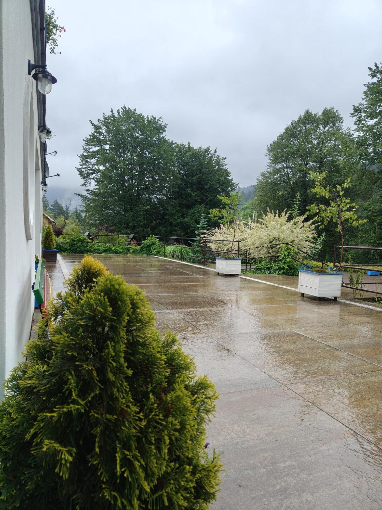 チスナ Leonowka Bieszczady Bed & Breakfast エクステリア 写真