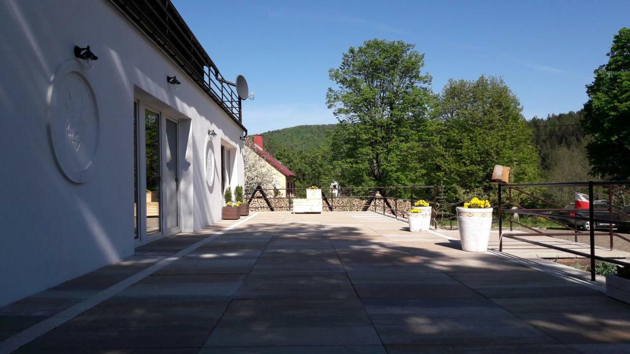 チスナ Leonowka Bieszczady Bed & Breakfast エクステリア 写真